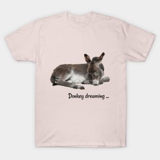 Cute Donkey Dreaming T-Shirt